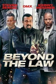 Beyond the Law (2019) ทีมนอกเหนือกฎหมาย