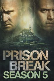 Prison Break Season 5 (2017) แผนลับแหกคุกนรก ปี 5