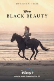 Black Beauty (2020) Disney+ Hotstar แบล็คบิวตี้