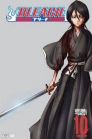 Bleach บลีช เทพมรณะ Season 10-12