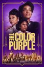 The Color Purple (2023) บรรยายไทย