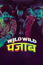 Wild Wild Punjab ปัญจาบป่วน มันส์ ฮา (2024) NETFLIX