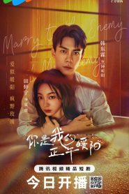 ซีรี่ย์จีน Marry to the enemy of my enemy (2025) ด้วยรักจากดวงตะวัน ซับไทย