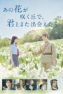 I Wish I Could Meet You Again on the Hill Where That Flower Blooms (2023) บรรยายไทยแปล