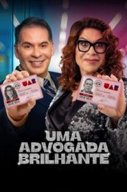 A Bright Lawyer (Uma Advogada Brilhante) ทนายแท้ หญิงเทียม (2025) บรรยายไทย