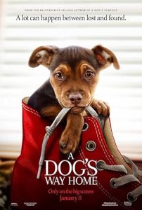 A Dogs Way Home (2019)