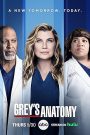 Greys Anatomy S22