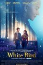 White Bird A Wonder Story (2024) : วิหคขาว ปาฏิหาริย์แห่งน้ำใจ